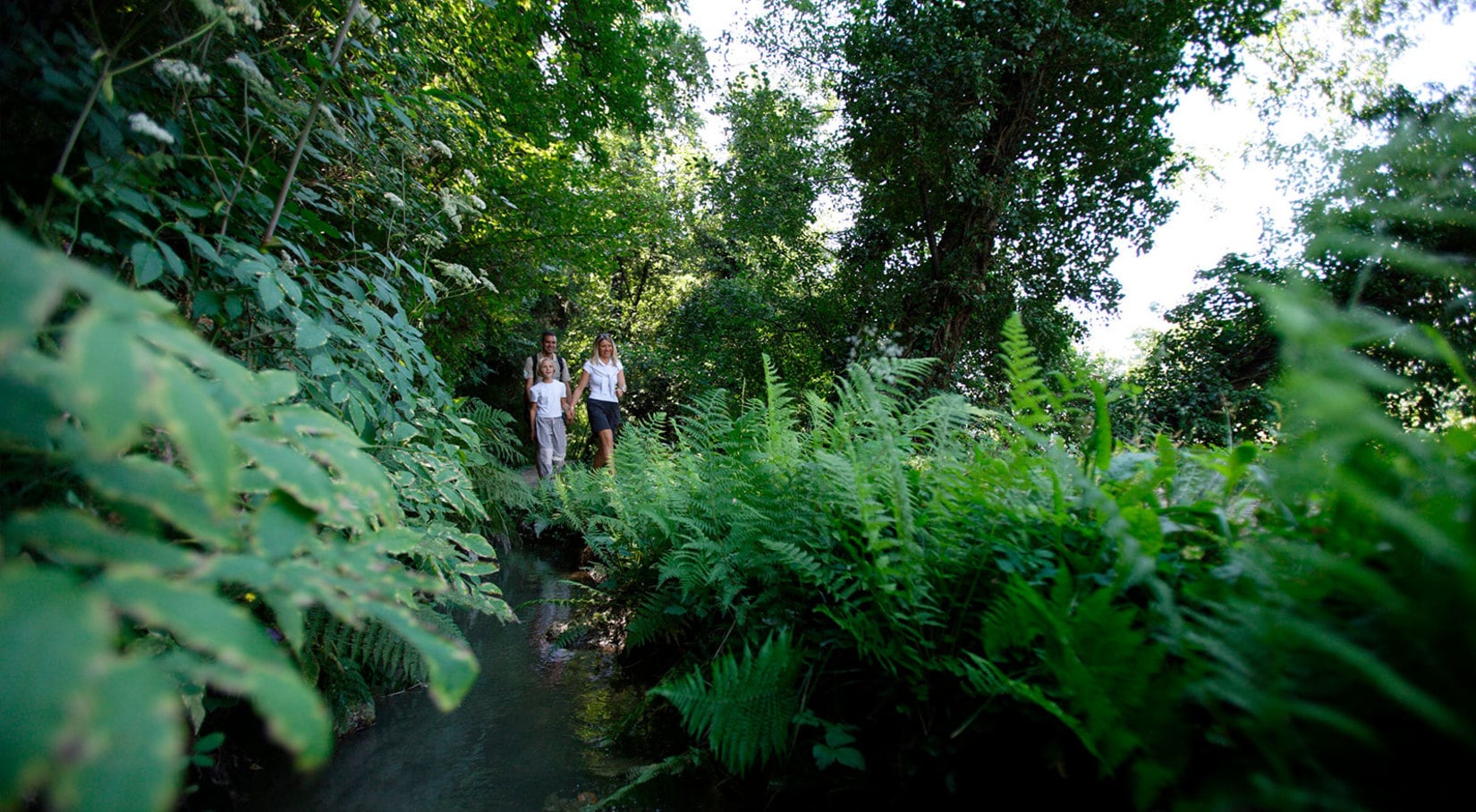 Wandern entlang der Waalwege