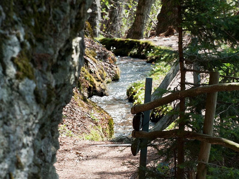 Wandern entlang der Waalwege