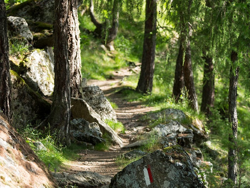 Der Meraner Höhenweg