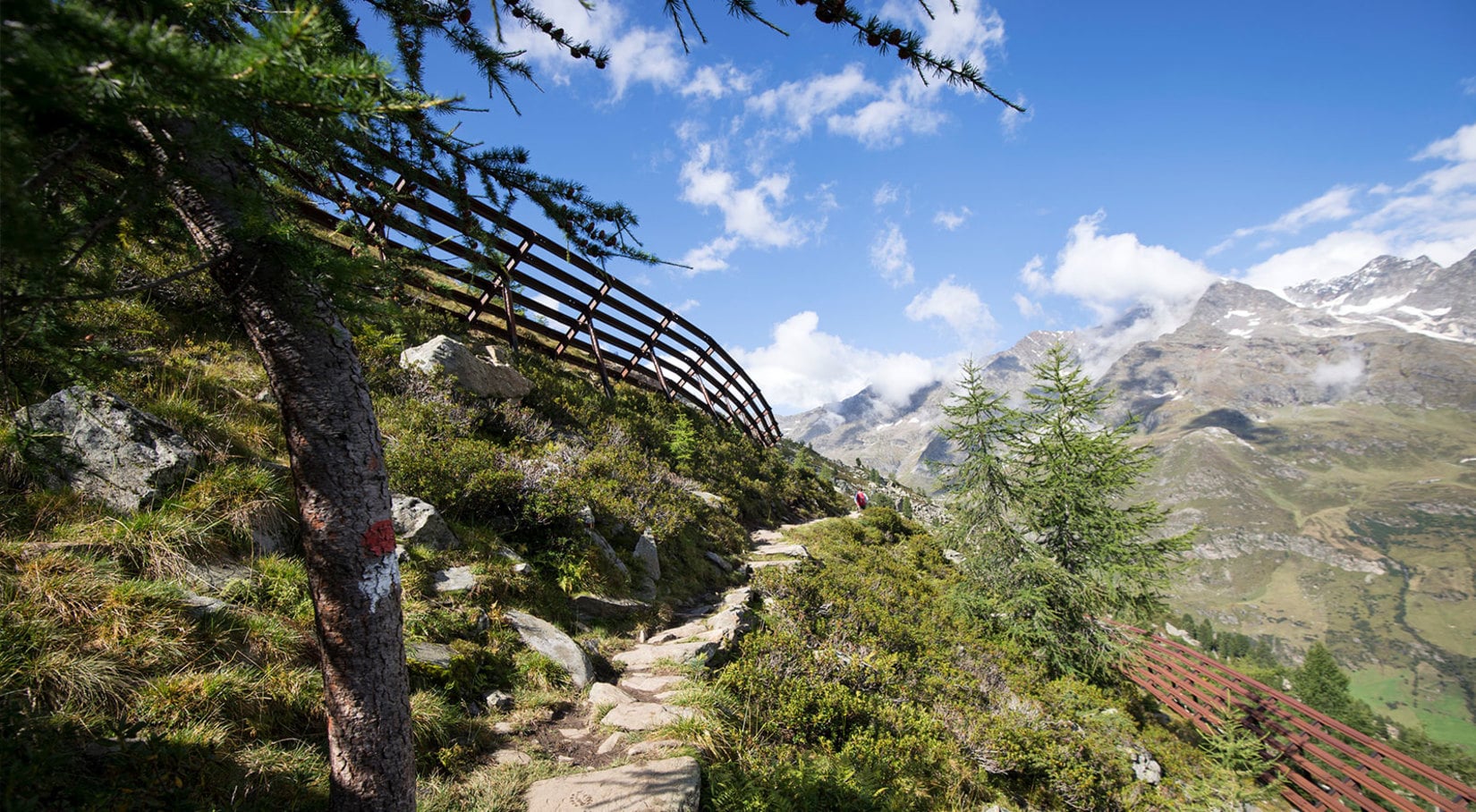 Escursioni in montagna e negli alpeggi