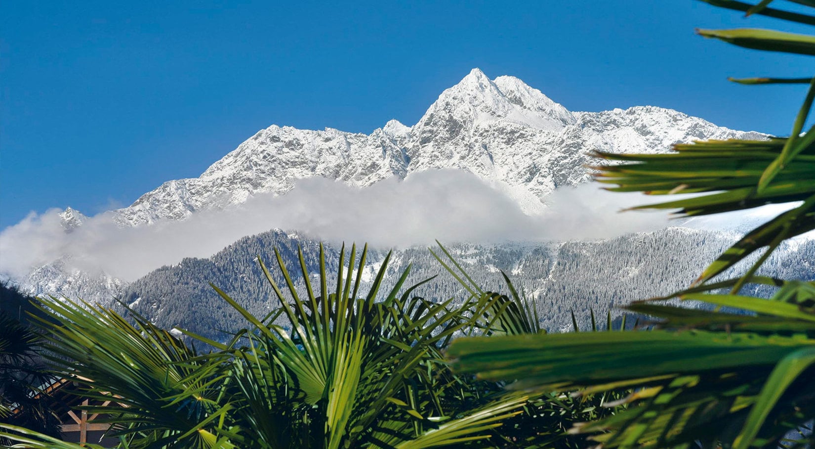 Aktivurlaub im Ferienort Algund bei Meran